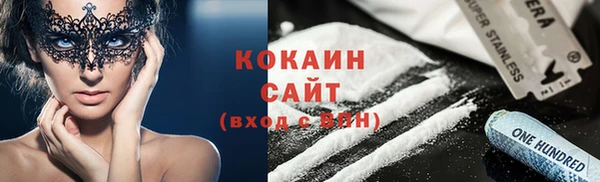 гидра Дмитров