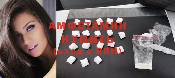 apvp Ельня