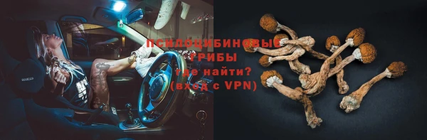 прущий лед Дмитровск