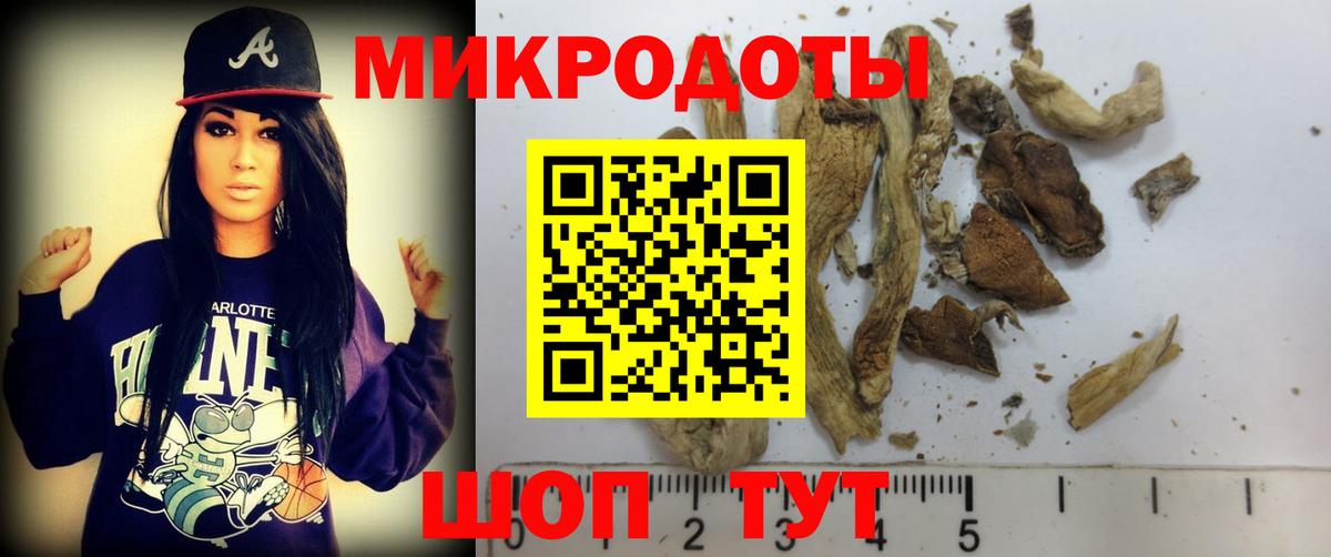 Псилоцибиновые грибы GOLDEN TEACHER  Вход с VPN  Зеленогорск  Псилоцибиновые грибы Psilocybe 