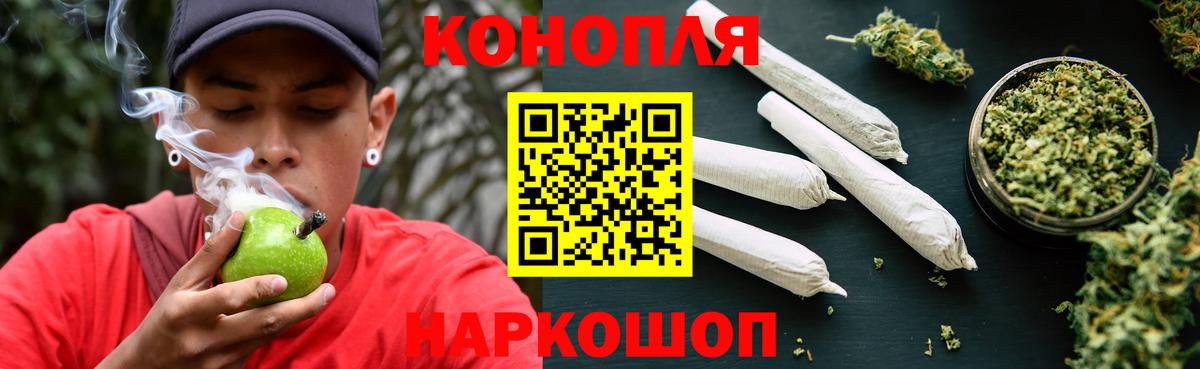 Бошки марихуана сатива  Вход с VPN  Марихуана семена  Зеленогорск  Конопля план 